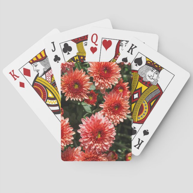 Nahe Anwendung auf Chrysanthemum-Pflanze Spielkarten (Rückseite)