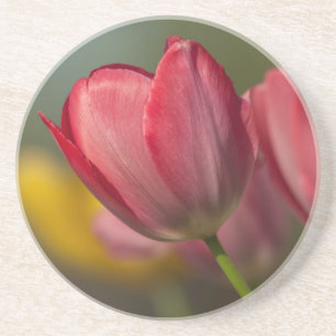 Nahe Aufbereitung von roten und gelben Tulpen im G Sandstein Untersetzer
