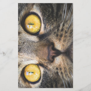 Nahe Aufnahme von Katze mit GelbAugen Briefpapier