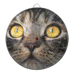 Nahe Aufnahme von Katze mit GelbAugen Dartscheibe