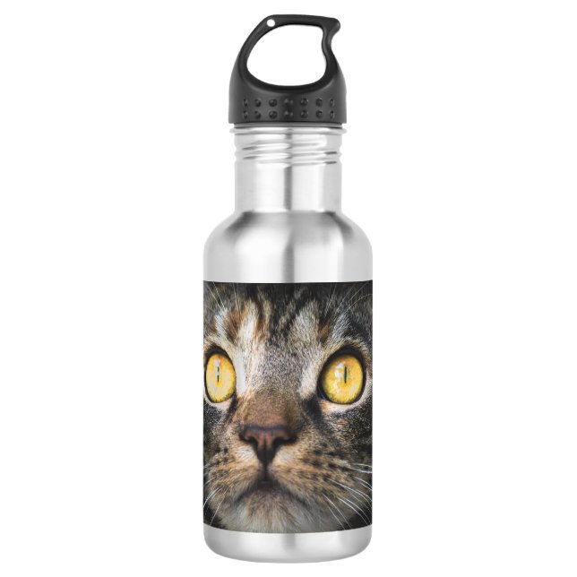 Nahe Aufnahme von Katze mit GelbAugen Edelstahlflasche (Vorderseite)