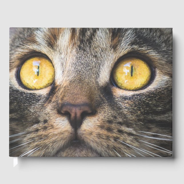 Nahe Aufnahme von Katze mit GelbAugen Gästebuch (Vorderseite)