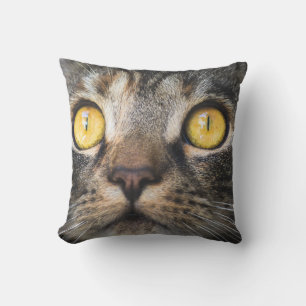 Nahe Aufnahme von Katze mit GelbAugen Kissen