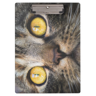 Nahe Aufnahme von Katze mit GelbAugen Klemmbrett