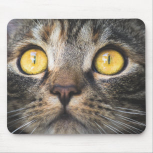Nahe Aufnahme von Katze mit GelbAugen Mousepad