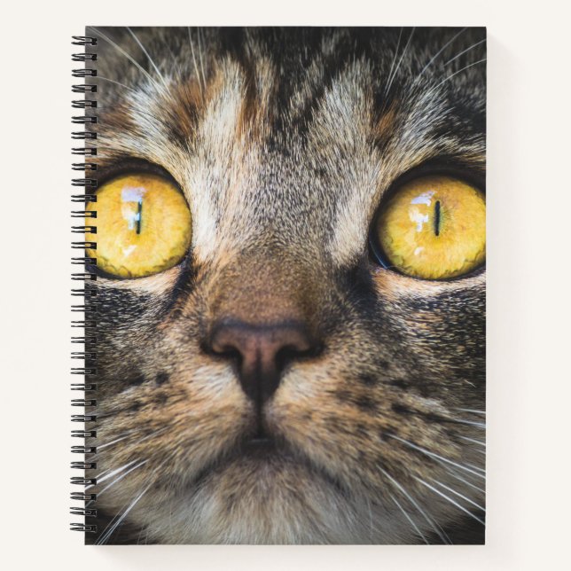 Nahe Aufnahme von Katze mit GelbAugen Notizbuch (Vorderseite)