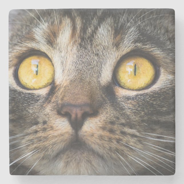 Nahe Aufnahme von Katze mit GelbAugen Steinuntersetzer (Vorderseite)