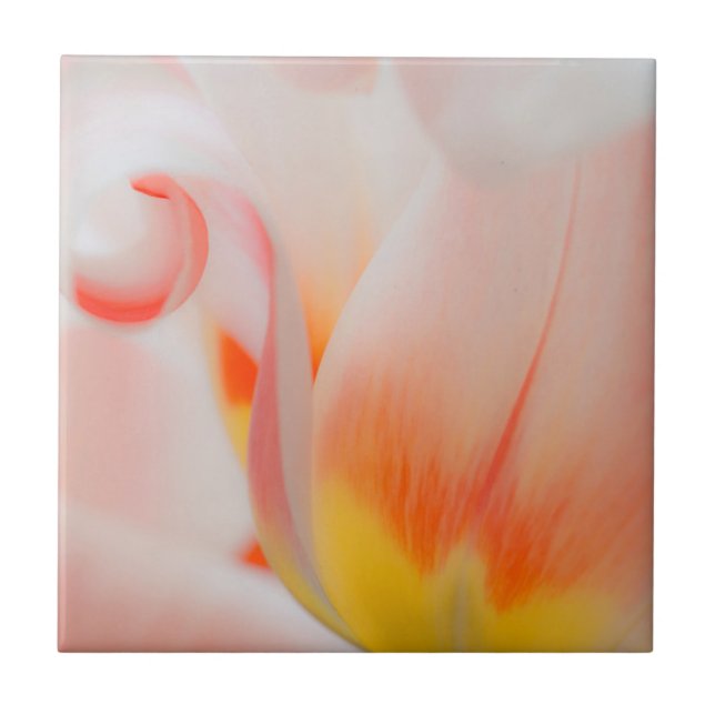 Nahe Aufnahme von Tulpe 3 Fliese (Vorderseite)