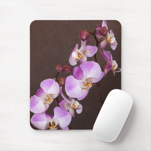 Nahe Aufnahmen von Violett und Weißem Orchid Mousepad (Mit Mouse)