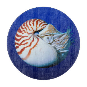Nahe Bildung von Chambered Nautilus Schneidebrett