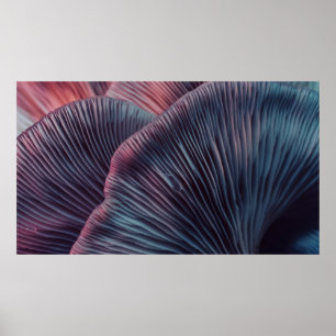 Nahe bis schöne Pilze mit Farblicht in Poster