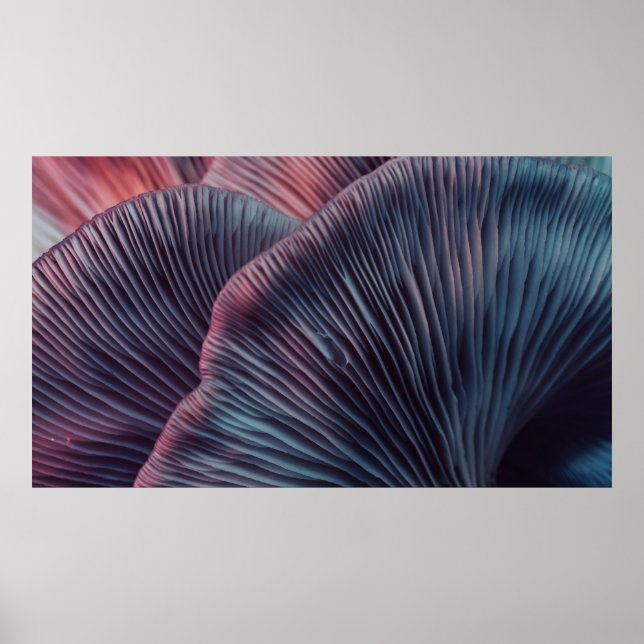 Nahe bis schöne Pilze mit Farblicht in Poster (Vorne)