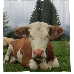 Nahe, braune und weiße Kuh Duschvorhang