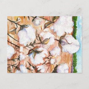 Nahe Cotton Field Postcard Postkarte