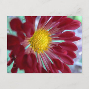 Nahe Dämmerung Postkarte