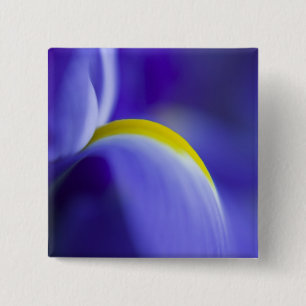 Nahe Details einer Blauen Flagge Iris. Button