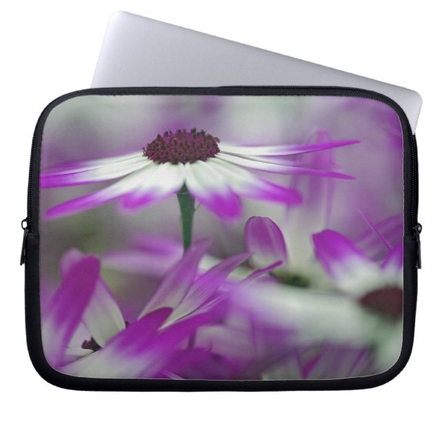 Nahe Einrichtung der lila Blume, Keukenhof Garden, Laptopschutzhülle (Vorderseite)