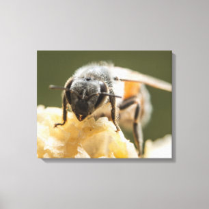 Nahe Entstehung einer Biene in einem Bienenstock Leinwanddruck