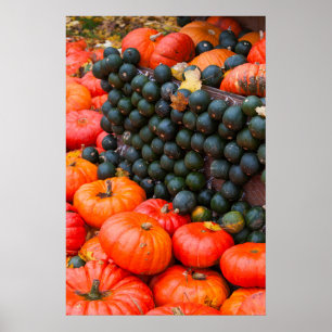 Nahe Herbstpumpen Poster