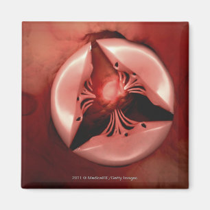 Nahe hohe Ansicht des tricuspid Ventils im Herzen Magnet
