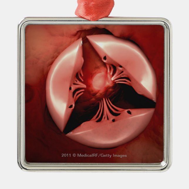 Nahe hohe Ansicht des tricuspid Ventils im Herzen Silbernes Ornament (Vorne)