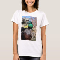 Nahe hohe Ente