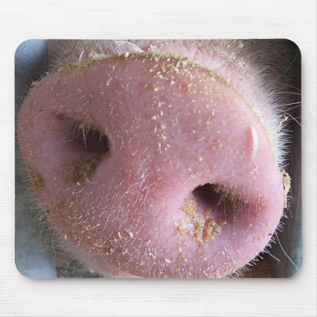Nahe hohe Fotografie der rosa Schweinnase Mousepad (Vorne)
