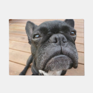 Nahe hohe Frenchie Tür-Matte Fußmatte