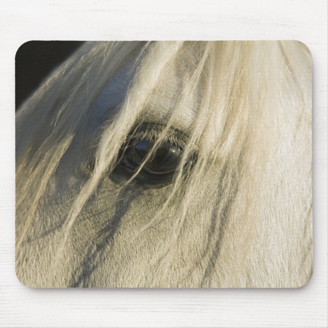 Nahe Horseaugenaufnahme Mousepad (Vorne)
