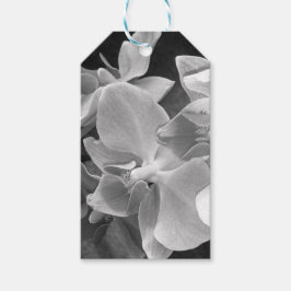 Nahe orchidale Blüten im Graustufen Geschenkanhänger