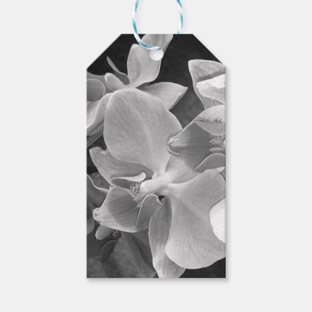 Nahe orchidale Blüten im Graustufen Geschenkanhänger (Vorderseite)