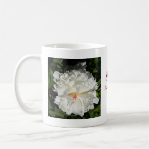 nahe Päonia lactiflora Kaffeetasse