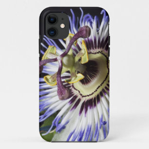 nahe Passionblume (MR) Case-Mate iPhone Hülle
