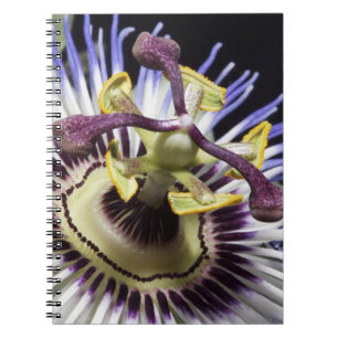 nahe Passionblume (MR) Notizblock