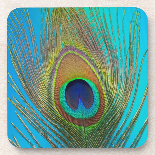 Nahe Pfauenfeder Getränkeuntersetzer (Vorderseite)