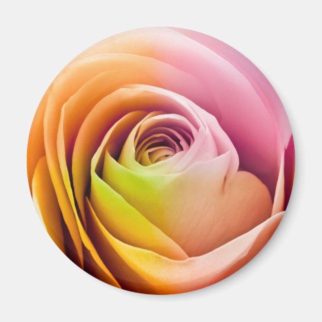 Nahe Rose Petals Magnet (Vorne)