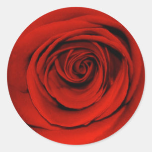 Nahe rote Rose Runder Aufkleber