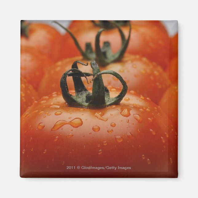 Nahe Tomaten/Paradeiser 2 Magnet (Vorne)