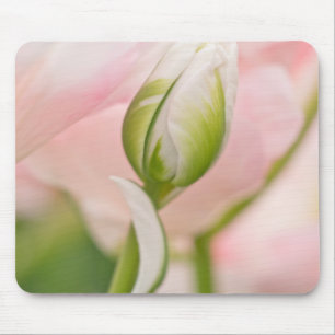 Nahe Tulpe- und Knospen Mousepad