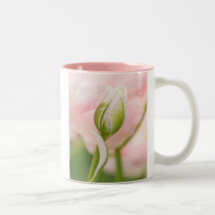 Nahe Tulpe- und Knospen Zweifarbige Tasse
