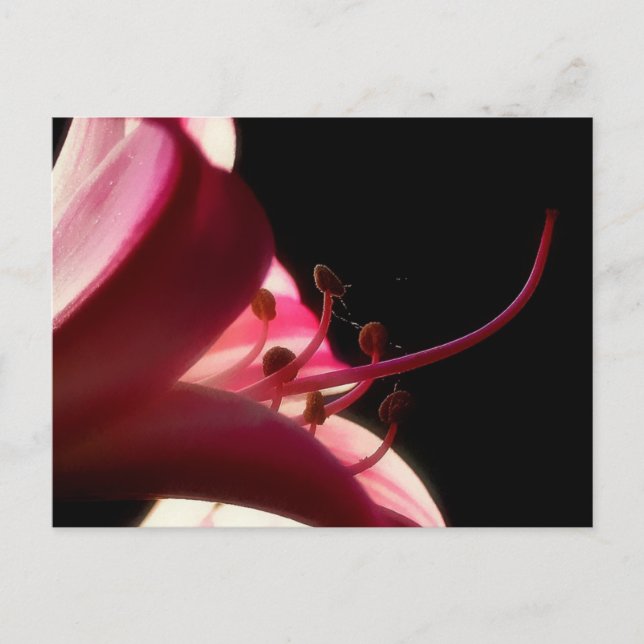 Nahe und persönliche Postkarte (Vorderseite)