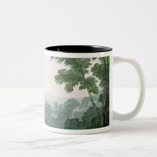 Nahe Washfield Devon Zweifarbige Tasse