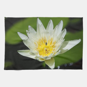 Nahe White Water Lily Blume und Biene Handtuch