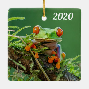 Nahen eines Roten Mit Augen Baumfrosches auf einem Keramikornament
