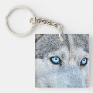 Nahen von Sibirien Husky mit Blauen Augen Schlüsselanhänger
