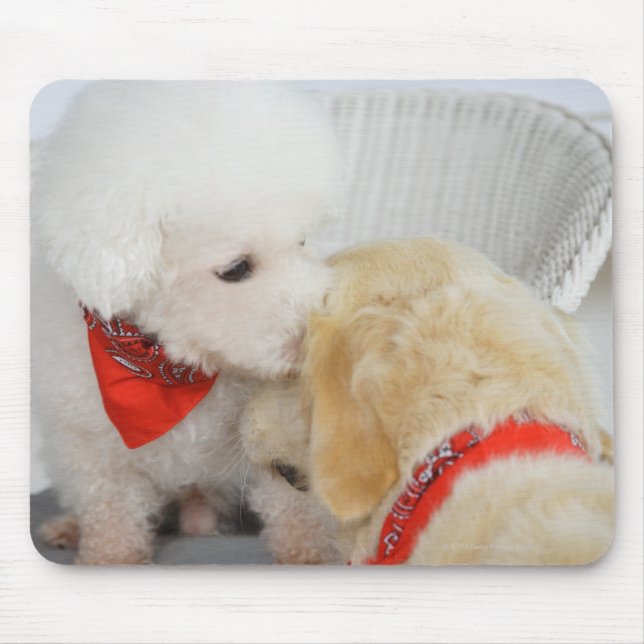 Nahen von zwei Hunden Mousepad (Vorne)
