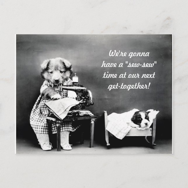 "Nähen" Zeit Vintager Hund Postkarte (Vorderseite)