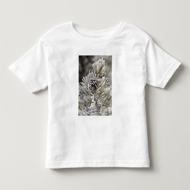 Naher Anbau von gefrorenem Kiefernzapfen, Gelbstei Kleinkind T-shirt (Vorderseite)