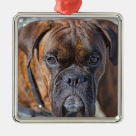 Naher auf einem kleinen Boxer Welpen Ornament Aus Metall