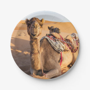Naher Aufstieg auf Camel in der Oman-Wüste Pappteller